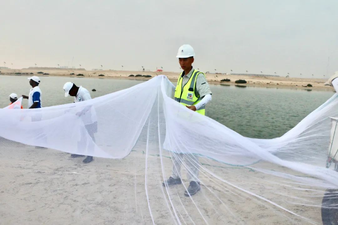 首页-PA集团有限公司官网入口