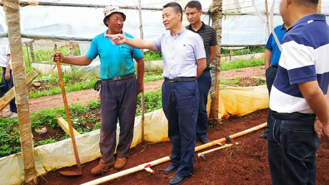 首页-PA集团有限公司官网入口