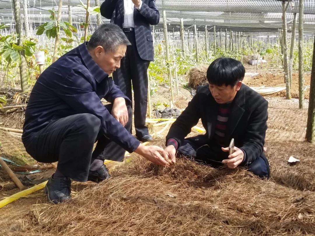 首页-PA集团有限公司官网入口