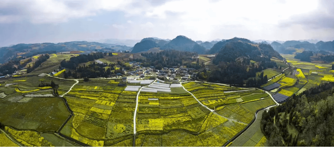 首页-PA集团有限公司官网入口