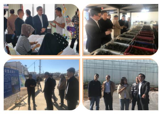 首页-PA集团有限公司官网入口