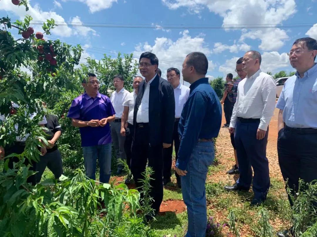 首页-PA集团有限公司官网入口