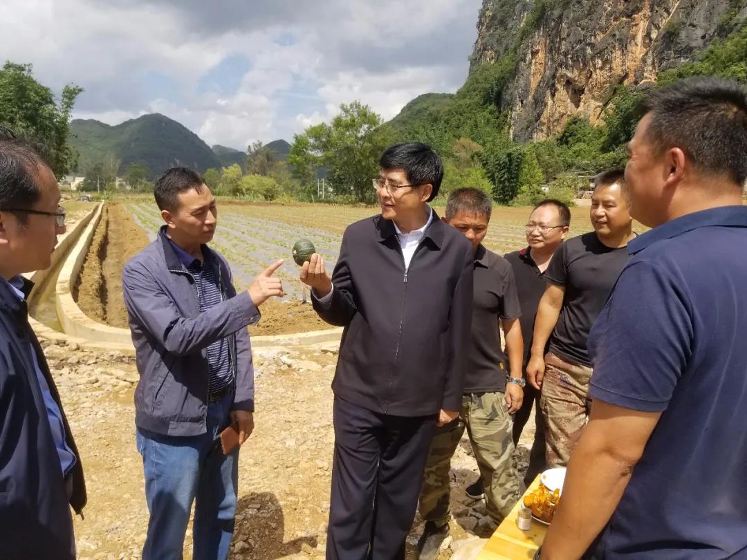 首页-PA集团有限公司官网入口