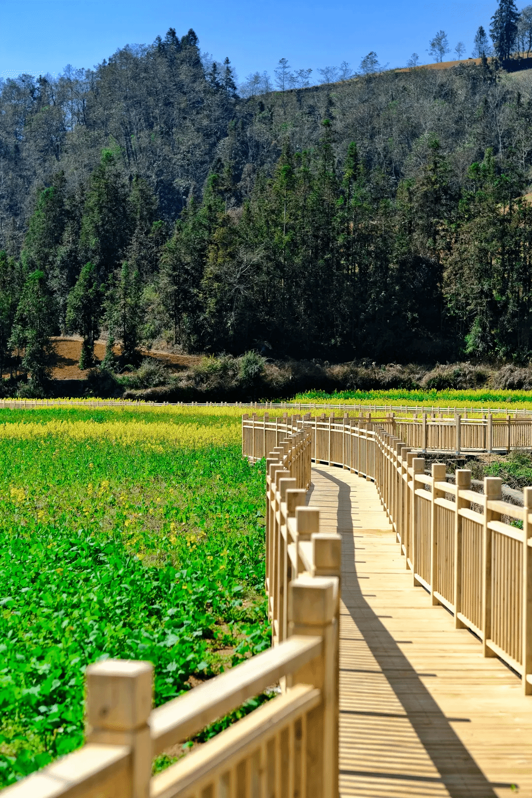 首页-PA集团有限公司官网入口