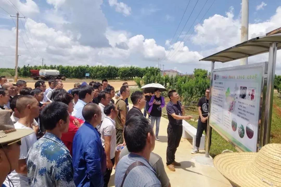 首页-PA集团有限公司官网入口