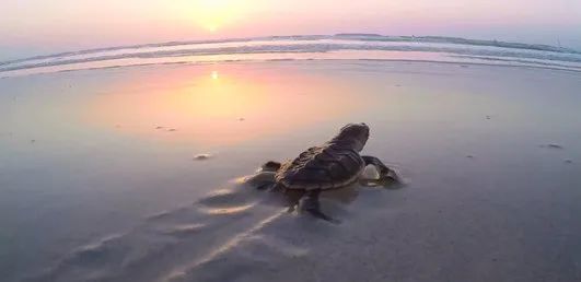 首页-PA集团有限公司官网入口