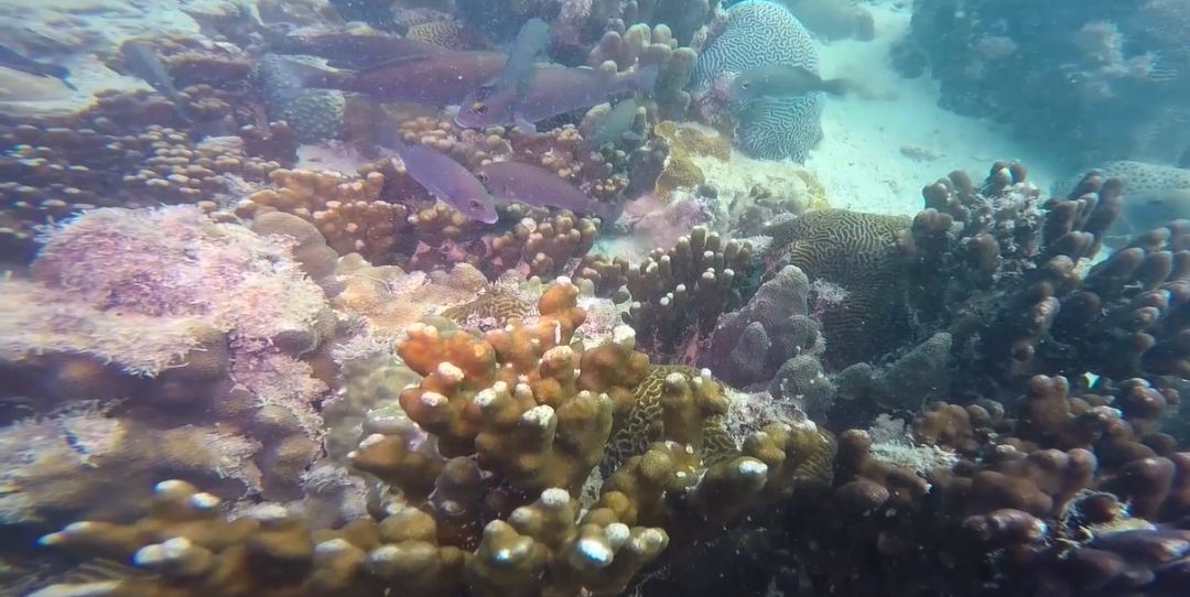 首页-PA集团有限公司官网入口